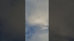 Голубедром Сошки.Полёты от 13.01.2026