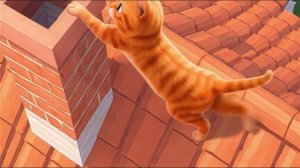 Кот и Крыша