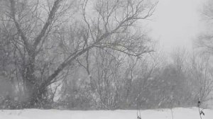 Звуки природы, вьюга! Расслабление, релакс медитация, спокойный сон