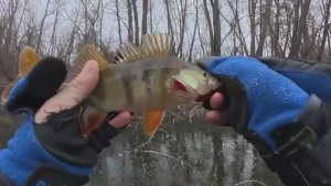 Астрахань. Первый лед 2025-2026. Зимняя рыбалка