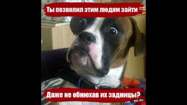 Разговоры с коллекторами 109 смотреть онлайн