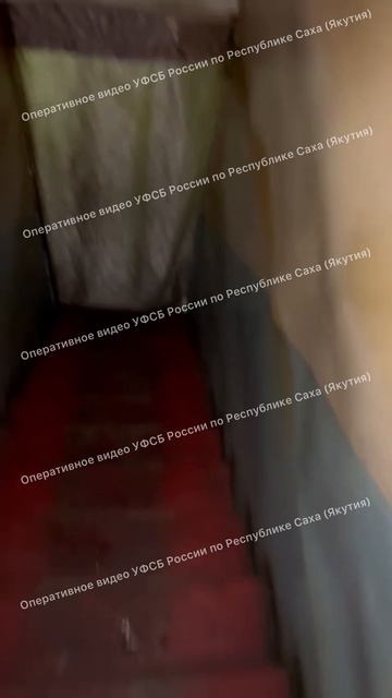 Организаторы канала незаконной миграции - Оперативное видео УФСБ России по РС(Я) смотреть онлайн