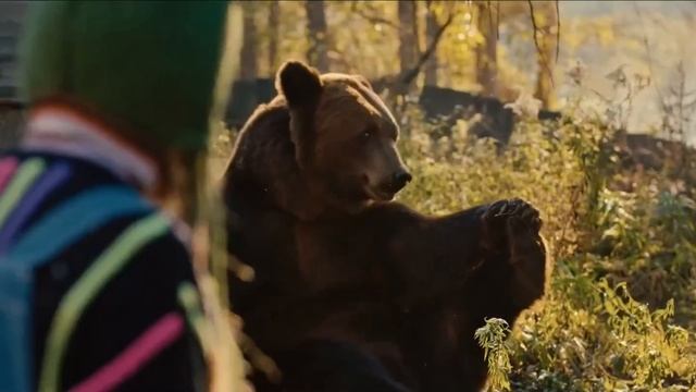 Пaпка Meдведь смотреть онлайн