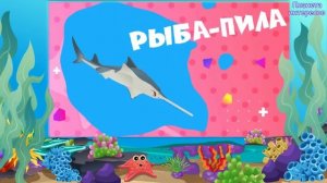 Под водой - Морские жители - Познавательное для детей
