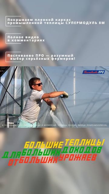 Покрываем плёнкой каркас промышленной теплицы Поспеваево ПРО - Супермодуль 8М смотреть онлайн