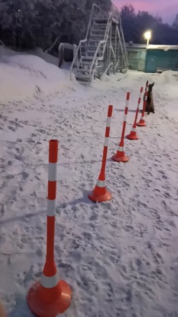 Змейка — будущий Слалом