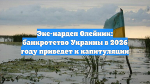 Экс-нардеп Олейник: банкротство Украины в 2026 году приведет к капитуляции