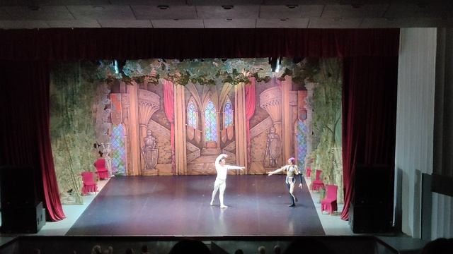 VID2026 Сегодня я был на Балете Лебединое озеро смотреть онлайн