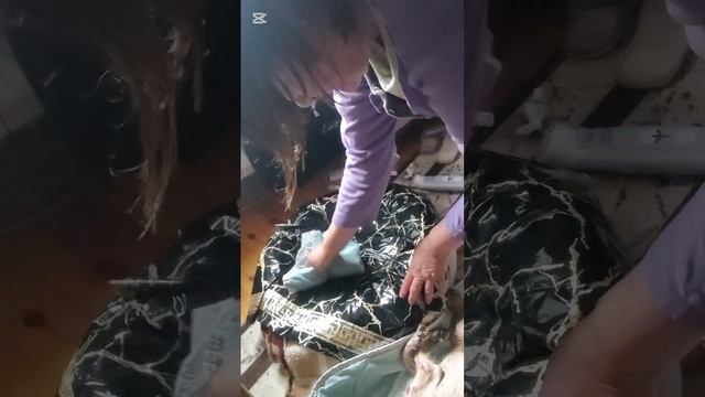 Утренний моцион Снежка