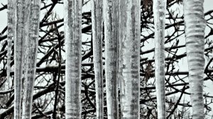 Вот такая уборка...