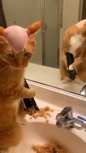 #shorts стрижка смотреть онлайн