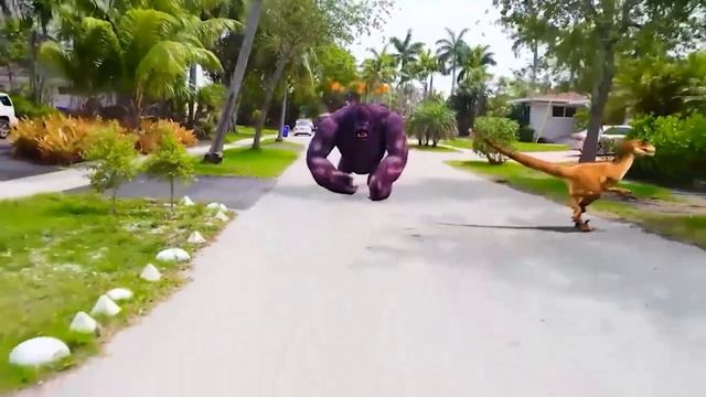 Весёлый кемпинг в палатке — удивительные приключения! смотреть онлайн