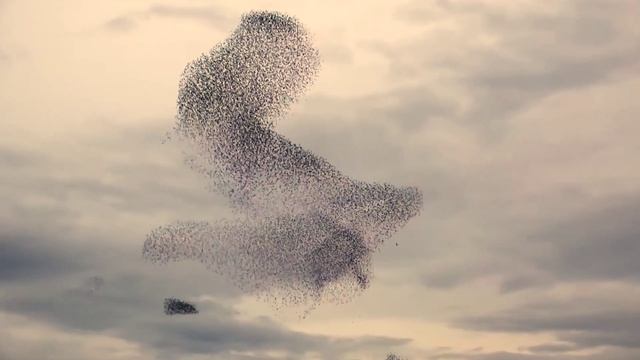 Serenity смотреть онлайн