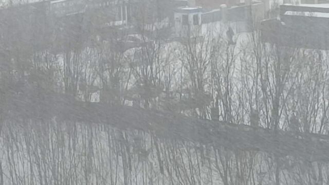 СНЕГОПАД❄❄❄ АЛИСА ИГНАТЬЕВА. **БЕЛЫМ СНЕГОМ**ХОРОШАЯ 🎶🎤🎵ПЕСНЯ... смотреть онлайн