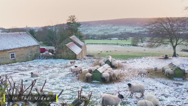 Сильный снегопад в сельской местности Англии | Зимняя прогулка смотреть онлайн