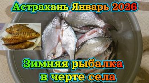 Ловим рыбу на засолку/ Зимняя рыбалка в Астрахани январь 2026 года. Рыбалка на фидер зимой