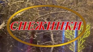 Ирина Верина-Михалкина – «Снежинки», читает автор