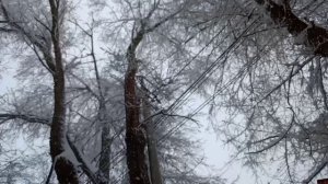 НЕ ЖИВЁМ БОГАТО