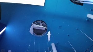 верхний ярус планета океан   🌊