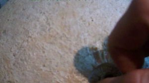 зеакальный шар