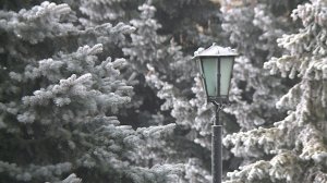 Специалисты в январе 2026 года обещают на Ставрополье морозы