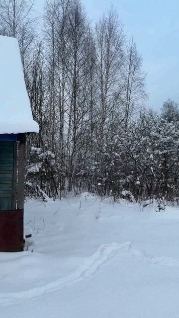 Продается земельный участок 6 соток с старенькой дачей в СНТ "Текстильщик", рядом с гор. Карабаново смотреть онлайн