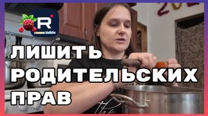 Бровченко _Лишить родительских прав _Обзор _Колесниковы _Деревенский дневник _Семья Бровченко