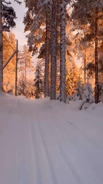 КРАСОТА ЗИМОЙ смотреть онлайн