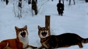 Буратино. Безуспешные поиски #Буратино #мультикai #нейросеть