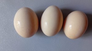 Простые трюки с яйцами, которые стоит попробовать