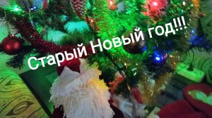 Старый новый год!