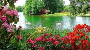 Украдкой время с тонким мастерством (Андрей Донецкий)