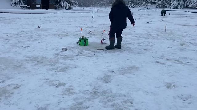 На пассив.Форель смотреть онлайн