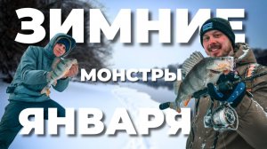 ЭТО МОНСТРЫ! ЛОВЛЯ КРУПНОГО ОКУНЯ на джиг-риг. Зимний спиннинг в январе на Москва-реке.