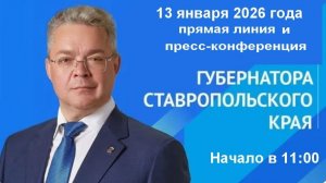Губернатор Владимир Владимиров проводит прямую линию и пресс-конференцию