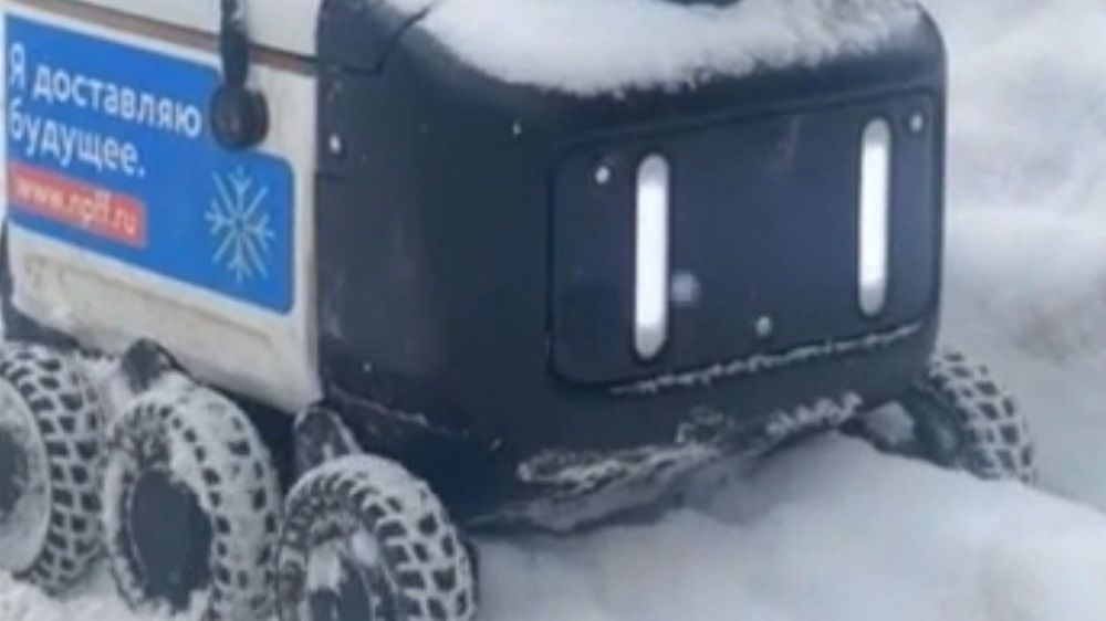 Москвичи толпой вызволяют робота-курьера из сугроба смотреть онлайн