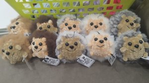 Первый отчет в Бешенных крючках 7.0 Каляда