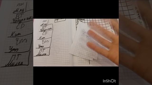 InShot_20260109_173557511 смотреть онлайн