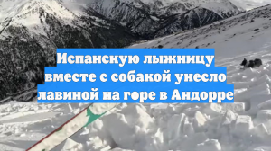 Испанскую лыжницу вместе с собакой унесло лавиной на горе в Андорре