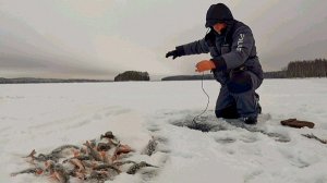 А приятно как, когда клёв хороший!