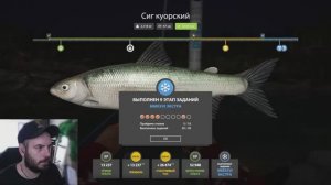 ✅ Шел 10 день, делаем квесты #4 ✅ #russianfishing4