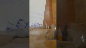 бурундук 2626