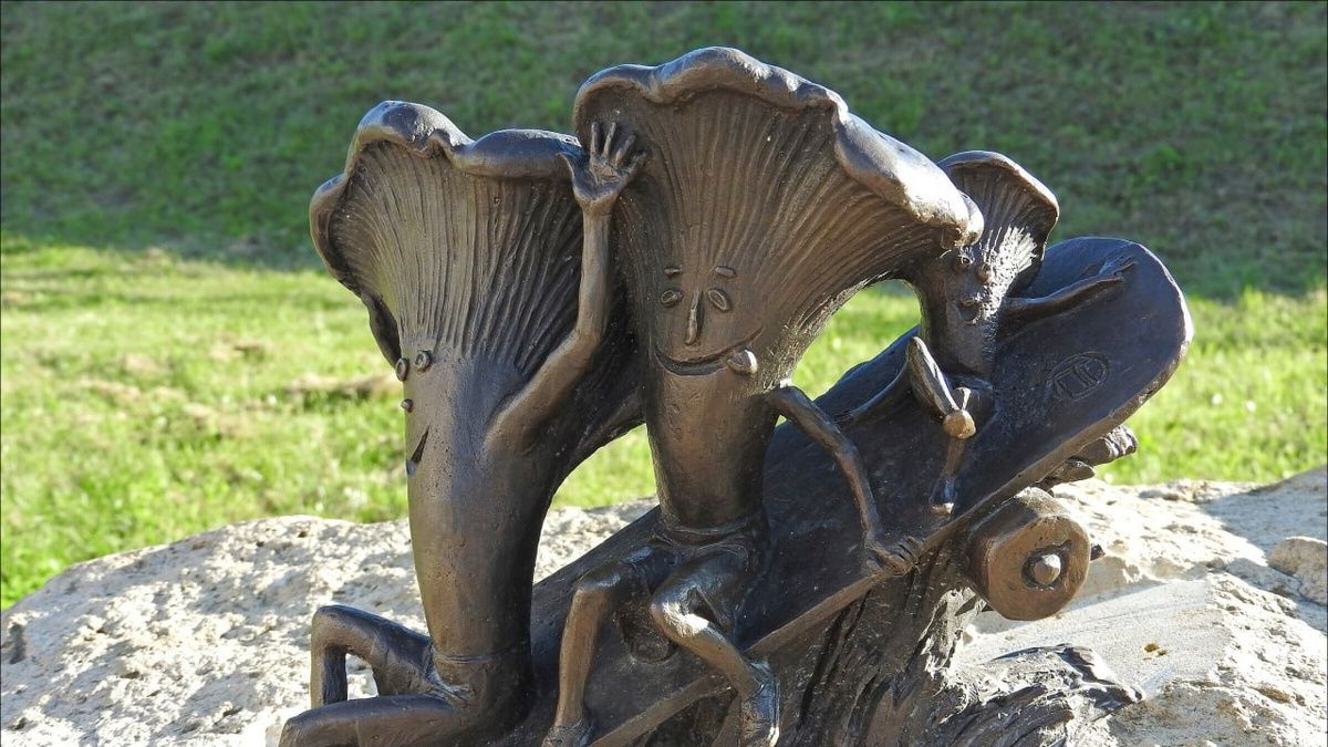 Грибы на вашем столе смотреть онлайн