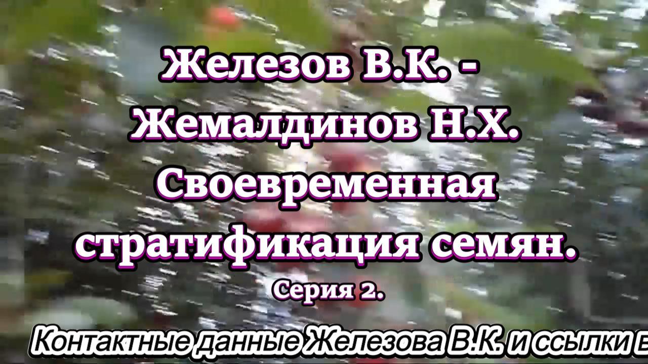 Железов В.К. - Жемалдинов Н.Х. Своевременная стратификация семян Серия 2. смотреть онлайн