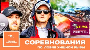 NE PAL 2025 Выборг  Финал рыболовного турнира  Ловля судака и щуки на спиннинг в Выборгсом заливе