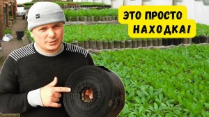 Лучший стаканчик для рассады- 5 000 штук в одной руке