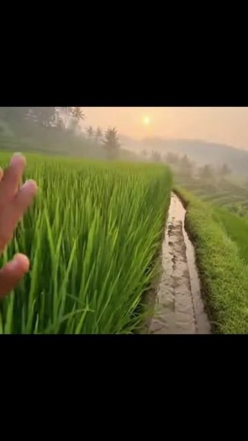 бали отпуск экзотика путешествие море