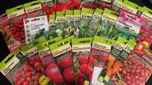 Обзор семян овощей на 2026 год.Томаты и огурцы.