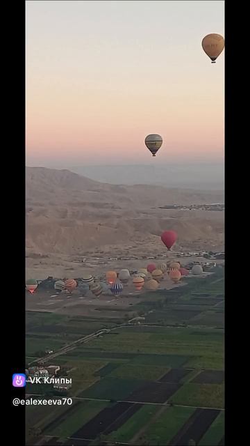 1000207103.mp4 смотреть онлайн