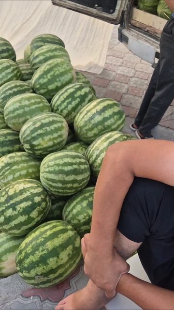 Сколько стоят арбузы в Таджикистане смотреть онлайн